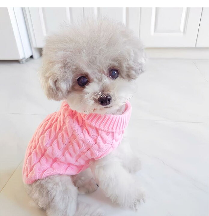 ドッグウェア 犬 服 秋冬 小型犬用 セーター ニット あったか かわいい カジュアル ピンク系 グリーン系(x5) 楽天市場】犬 服 犬服 おしゃれ かわいい ニット セーター 小型犬 あたたかい ドックウェア フリル 花 ペット ピンク 緑 グリーン 防寒 厚手  暖かい ペットウェア 犬の服 トイプードル マルチーズ XSＳ M L LL 春 秋 秋冬 冬 :