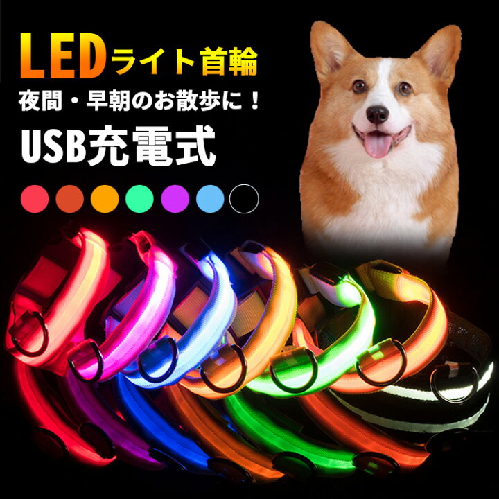 楽天市場 Offクーポン 首輪 犬 猫 光る Led 光る首輪 おしゃれ 痛くない かわいい 可愛い 柔らかい キラキラ ライト 夜間 散歩 安全 苦しくない Ledライト Usb充電式 軽量 頑丈 サイズ調整可能 超小型犬 小型犬 中型犬 大型犬 子犬 子猫 ペット シンプル 防災
