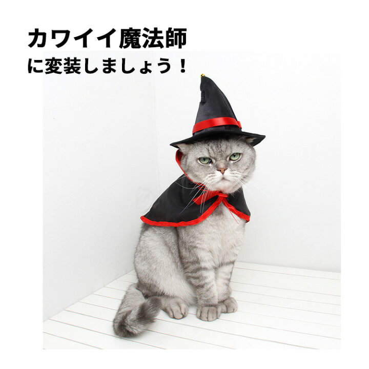 楽天市場 クーポン利用で Off ハロウィン コスプレ 犬 猫 ペット服 コスチューム 衣装 魔法使い 魔女 犬用 猫用 マント 帽子 犬服 ドッグウェア キャットウェア 犬用品 仮装 変装 変身 おもしろグッズ かわいい 可愛い 小型犬 中型犬 大型犬 クリスマス イベント