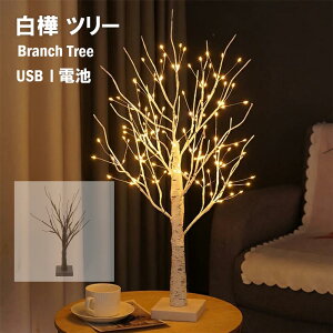 y艿i20%OFFz NX}Xc[ u`c[ k  LED 60cm NX}X CeA C~l[V Cg i` IV  k[hc[ Vv }c[ 