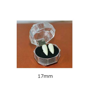 yʌő20%OFFz nEB RXv  hL  zS̉ @pCA̎ fr  @pCA t Lo d t   fB[X Y 