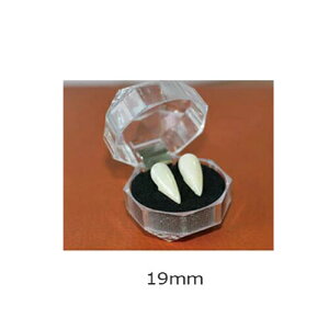 yʌő20%OFFz nEB RXv  hL  zS̉ @pCA̎ fr  @pCA t Lo d t   fB[X Y 