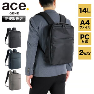 G[X bN Y 14L G[XW[ ace.GENE bNTbN obNpbN fCpbN rYbN A4  ͂ e fB[X ʋ ʊw 68002 rWlXobO rWlXbN PC