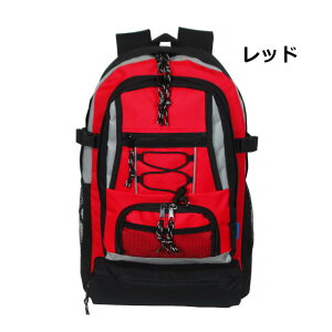 q Lv bN LbY j̎q bNTbN ̎q Cws s ъԊwZ WjA jq q fCpbN LvpbN Lvp h h w w 19L hЃ