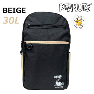 bN ʊw q Z qZ bNTbN Xk[s[ fB[X ʋ e 30bg 傫 w ʊwp  v lC ʊwbN XN[bN  Cws 