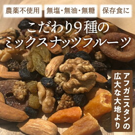 9種のミックスナッツ＆ドライフルーツ　（生アーモンド・生くるみ・イチジク・黒マルベリー・白マルベリー・あんず・ひよこ豆・ブラックレーズン・レッドレーズン・グリーンレーズン）無添加・無塩・無油