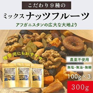 【送料無料】9種のミックスナッツ&ドライフルーツ 300g(100g×3)(レーズン・ドライレーズン・生くるみ・生クルミ・生アーモンド・マルベリー・グリーンレーズン)無添加・無塩・無油