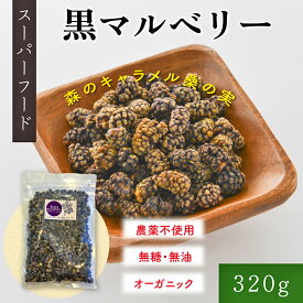 黒マルベリー 桑の実　320g