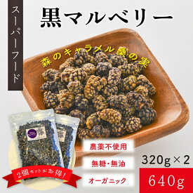 黒マルベリー 桑の実　640g