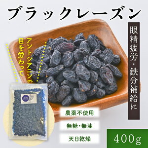 【送料無料】 ブラックレーズン 400g 無添加・無糖・無油