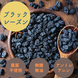 ブラックレーズン 300g お試し価格 お試し レーズン ドライフルーツ 干しブドウ ほしぶどう 無添加