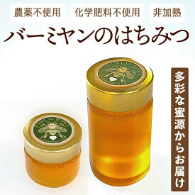バーミヤンのはちみつ　生はちみつ 非加熱 アフガニスタン産