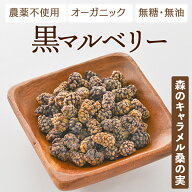 黒マルベリー 桑の実 無添加・無糖・無油