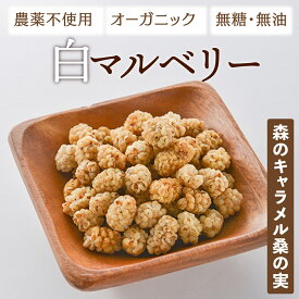 ホワイトマルベリー 桑の実 無添加・無糖・無油