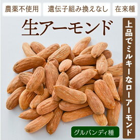 生アーモンド 在来種・遺伝子組換え無し