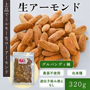 A[h 320gݗ@`qgȂ