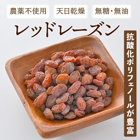 レッドレーズン ドライフルーツ 無添加 砂糖不使用 ノンオイル 天日乾燥