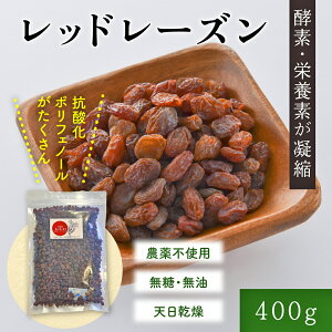 bh[Y 400g@[Y hCt[c uhE قԂǂ Y@R͔|