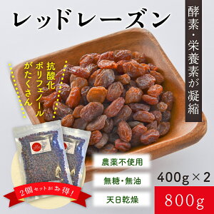 bh[Y 800g@[Y hCt[c uhE قԂǂ Y@R͔|