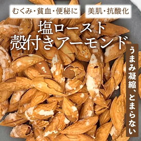 殻付きアーモンド 塩ロースト 無添加 ローストアーモンド ナッツ アフガニスタン産