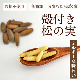 殻付き松の実 ロースト ジャルグーザ アフガニスタン産 ナッツ 松の実 無添加