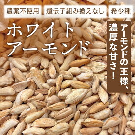 ホワイトアーモンド マムラ種 生アーモンド 無添加 農薬不使用 非遺伝子組換え アフガニスタン産
