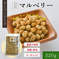 【送料無料】 ホワイトマルベリー 桑の実 320g 無添加・無糖・無油