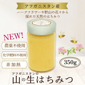 AtKjX^̎R݂̐͂ 350gAtKjX^Y݂͂@SԖ