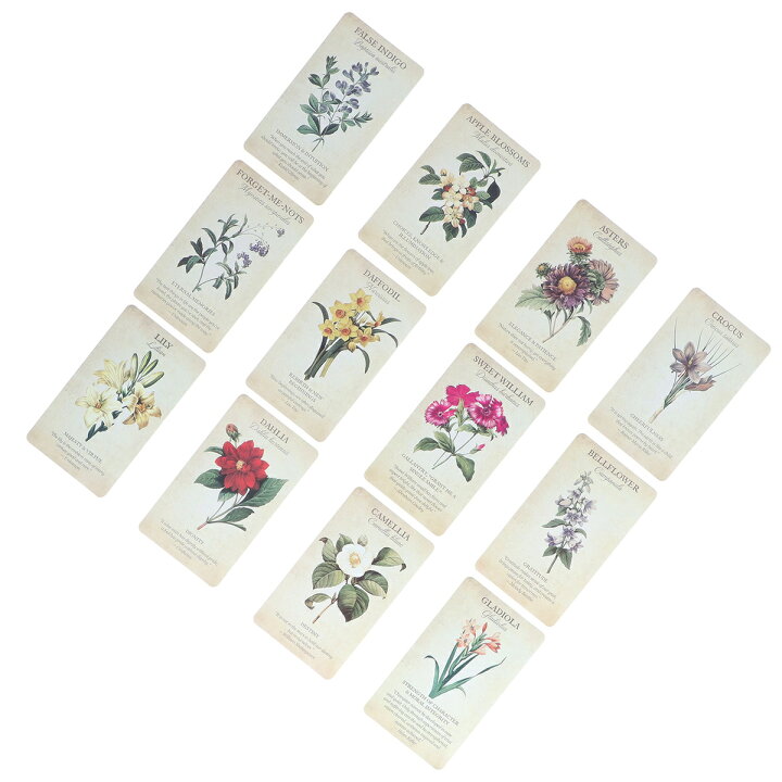 楽天市場 送料無料 ボタニカル インスピレーション オラクルカード 45枚 Botanical Inspirations 花 占い ホログラム紙 タロットカードセット スピリチュアル ヒーリング 初心者 雑貨 英語のみ Baibaiyishop