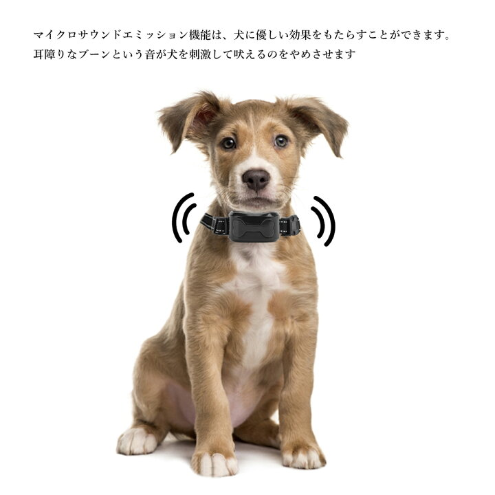 魅力的な 送料無料 犬 無駄吠え防止 首輪 吠え防止グッズ 自動センサー 犬訓練しつけ首輪 usb充電式 安全 有効 噛み癖 無駄吠え改善 むだぼえ防止グッズ 防水可能 振動 静電気ビーブ音3つモード 近所迷惑防止 newschoolhistories.org 魅力的な 送料無料 犬 無駄吠え防止 首輪 吠え防止グッズ 自動センサー 犬訓練しつけ首輪 usb充電式 安全 有効 噛み癖 無駄吠え改善 むだぼえ防止グッズ 防水可能 振動 静電気ビーブ音3つモード 近所迷惑防止 newschoolhistories.org