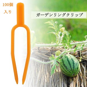  100 AT|[g |Nbv gXNbv g}gNbv K[fjONbv U AŒNbv vgNbv C`StH[N ŒtH[N DIY H 