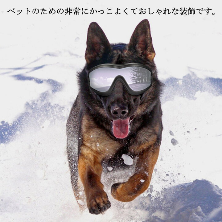 楽天市場 送料無料 ペット 犬用 サングラス 保護メガネ 紫外線対策 Uvカット 散歩 お出かけ 軽量 耐傷 サイズ調整 ペット用品 ペット用 めがね メガネ 防風 防水 防塵 防雪 Baibaiyishop