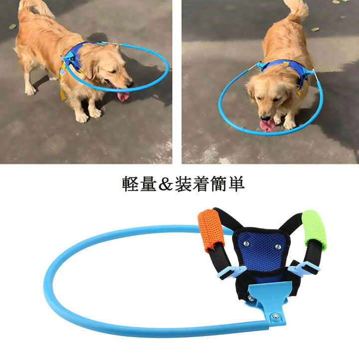楽天市場 送料無料 盲目 犬 ペット 衝突防止リング 歩行補助 保護カバー 犬用ブラインドカラー 軽量 盲目犬リング 盲犬杖 調整可能 犬 猫 介護用品 目の不自由 白内障 視覚障害 快適 通気性 耐久性 介護用 Xs Baibaiyishop