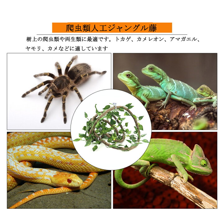 楽天市場 送料無料 人工ジャングル藤 爬虫類つる 爬虫類 両生類 登り藤 柔軟 テラリウム 生息地造園 装飾 植物 リアル トカゲ用品 クライミングスティック 人工植物 Baibaiyishop