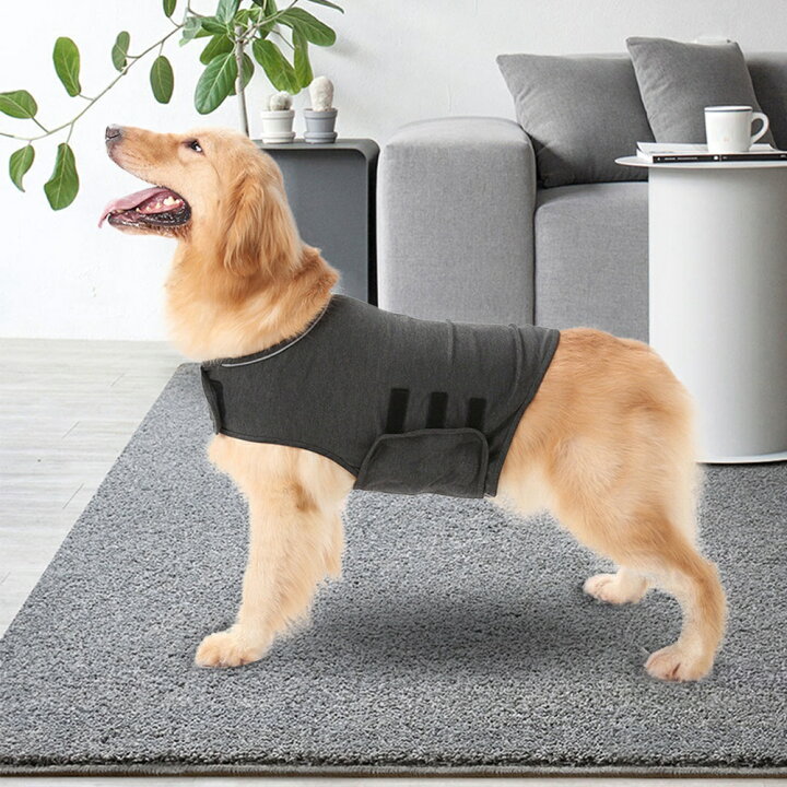 楽天市場 送料無料 サンダーシャツ クラシック ジャケット ストレス解消 不安緩和シャツ グレー 犬 いぬ 雷 花火 不安緩和 Thunder Shirt Lサイズ Baibaiyishop 楽天市場 送料無料 サンダーシャツ クラシック ジャケット ストレス解消 不安緩和シャツ グレー 犬 いぬ 雷 花火 不安緩和 Thunder Shirt Lサイズ Baibaiyishop