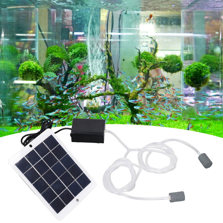 楽天市場 送料無料 ソーラー充電式 3w 5v エアポンプ ソーラーウオーターポンプ 空気ポンプ 生活防水 電動 酸素ポンプ 静音 アウトドア 水槽用 金魚 釣り 設置簡単 携帯便利 Usb バッテリー エアレーション Baibaiyishop