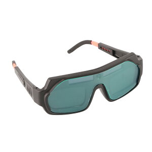 nڃKl nږ Ռ nڃS[O ͂񂾕tS[O nڃS[O eXgbvt (AbvO[h)