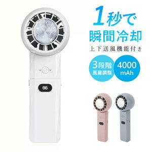 2024ŐV @ nfBt@ gѐ@ N[[ pv[g 3iK p[h ^@ nfB@ 莝@ ~j@ É [dR[hX @ usb [