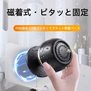 y̓}OlbgEIP6Xhzu[gD[XXs[J[bGANbVzŗɂbCELb`EAEghAŃs^bƌŒbTWS2ڑXeIbRGBCgb}CN