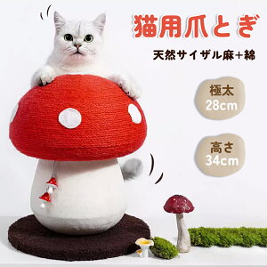 L ܂Ƃ ܌  {[ KK _{[ Ȃ XNb`[ VRTCU ϋv ߂Ƃ u  p R[i[ ԔLmR^ ی^ ˂ 炵 L Lxbh 