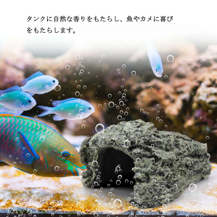 楽天市場 送料無料 爬虫類 隠れ家 カメ 亀 魚 飼育ボックス 登り石 ウェットシェルター 隠す洞窟 タートルテラス ヘビ ペット用品 浮き島 水族館 水槽 飼育ケース内装 生息地装飾 おしゃれ シンプル Baibaiyishop