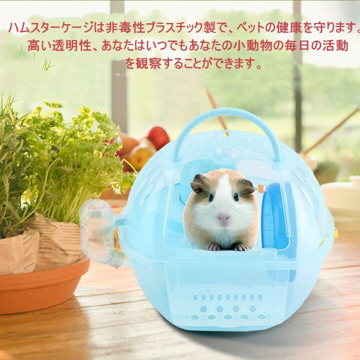 402円 最大53 オフ ハムスターヘッジホッグマウスモルモットベッドハウスケージラダー運動おもちゃ