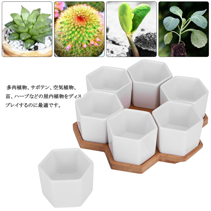 5点セット 人工鉢植え フェイクグリーン ミニ多肉植物 お世話のいらない 枯れない花 本物みたい 防カビ 卓上 会社 彼女 室内 ガーデン Xhyx1e6c59 カナオンライン 通販 植物のための4pcsの陶磁器の鉢 家の装飾のための多肉植物の鉢 Vladatk Gov Ba