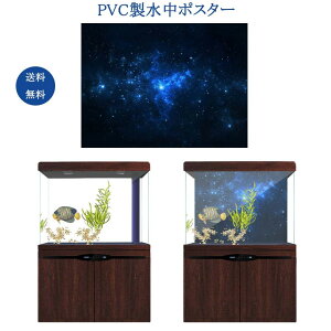 @|X^[ ^N  ^N XebJ[ PVC PVCڒ܁@^Nwi@|X^[wi obNOEh 122*46cm