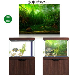 水中 接着剤 水槽用レイアウト用品の人気商品 通販 価格比較 価格 Com
