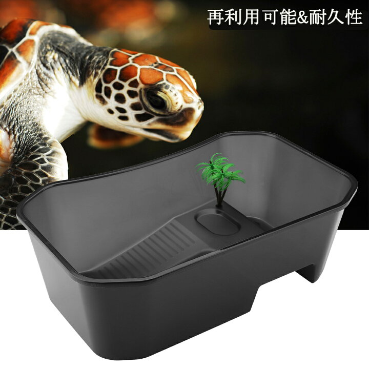 楽天市場 送料無料 亀 カメ 水槽 タートルタンク 爬虫類 両生類用ケース 亀箱 水槽 カメ生息地 爬虫類飼育箱 飼育ケース Pp製 日光浴 5エリア仕切り 小型 透明 爬虫類テラリウム Baibaiyishop