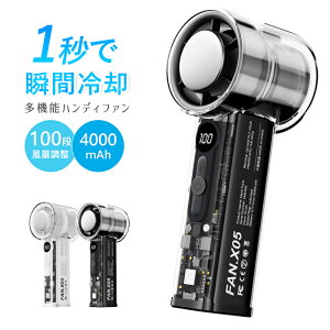 nfBt@ pv[g 2025 @ 莝 nfB | 񂩂 t@ @ N[[  p @  莝@ 100iK   p[h ^@ gѐ