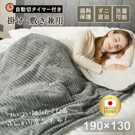 【 日本カケン認証 】電気毛布 大判190×130/160×80/120×60cm ROASICEE 掛け敷き 兼用 炭素繊維ヒーター タイマー機能付 両用 洗える フランネル 自動電源オフ ダニ退治 過熱保護 掛け敷き 電気ブランケット ひざ掛け 防寒 節電
