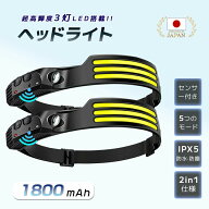 【正規品！】＼楽天1位 累販1,200個／ヘッドライト 充電式ヘッドライト usb LED ヘッドランプ 2in1仕様 L…