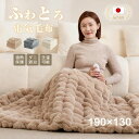 ＼クーポンで最安4,980円／【楽天1位】【 日本カケン認証 】電気毛布 掛け敷き 兼用 日本製炭素繊維ヒーター ダブル シングル 大判 190×130/160×80/120×60cm タイマー 電気ブランケット AI自動電源オフ 抗菌 ダニ退治 フランネル ひざ掛け 洗える ダブル 2人 節電